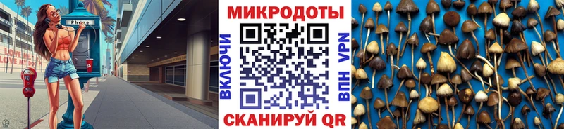 мега ССЫЛКА  сайты даркнета официальный сайт  Псилоцибиновые грибы мухоморы  Заозёрный 